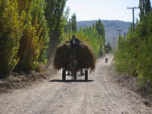 IMG_5154 Villa Neuva hay wagon.11.JPG